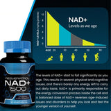 nad capsules